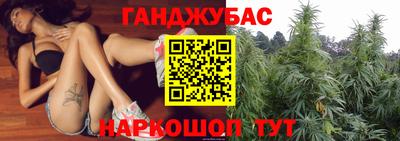 молекула духа Шелехов