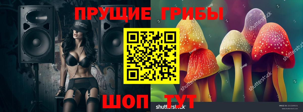 Галлюциногенные грибы Cubensis Абакан